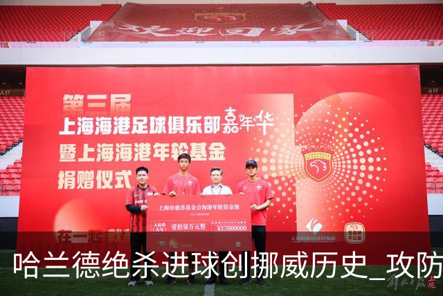 哈兰德绝杀进球创挪威历史 攻防全能将考验桑巴军团
