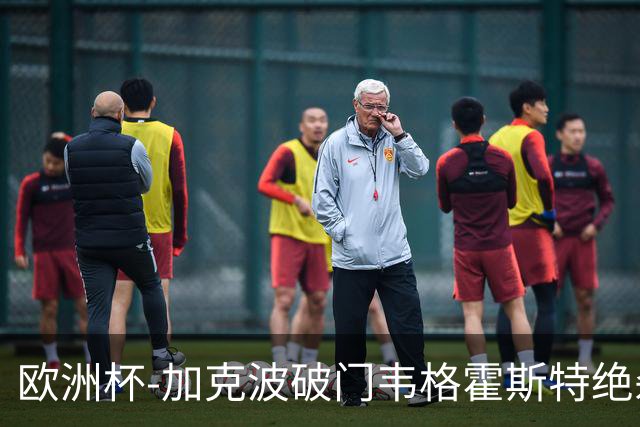 欧洲杯-加克波破门韦格霍斯特绝杀 荷兰2-1波兰