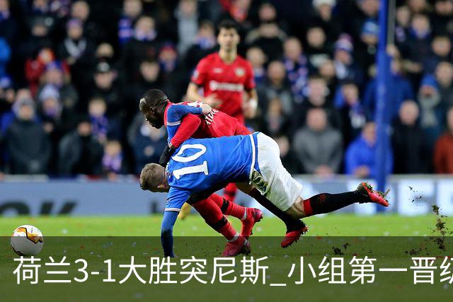 荷兰3-1大胜突尼斯 小组第一晋级淘汰赛将战摩洛哥